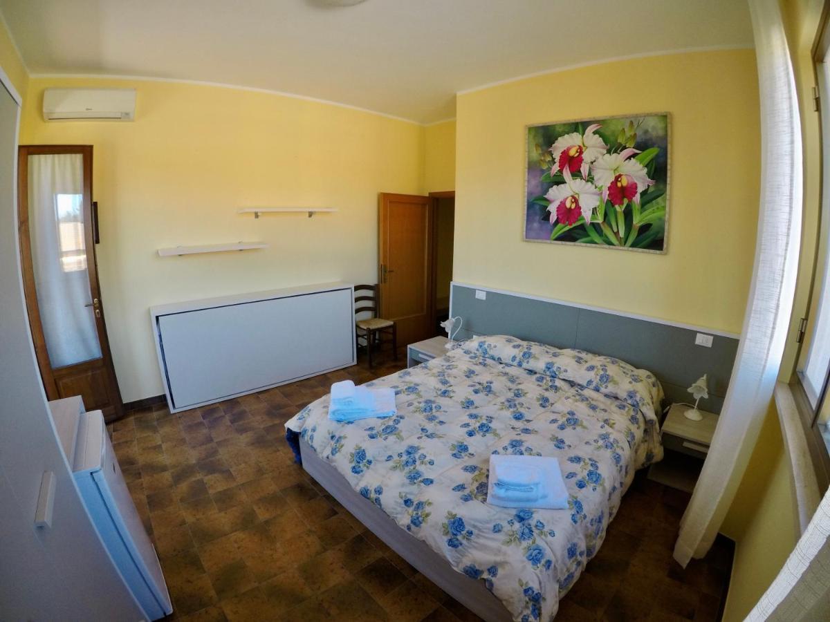 Agriturismo Eucaliptus Bolgheri Kültér fotó