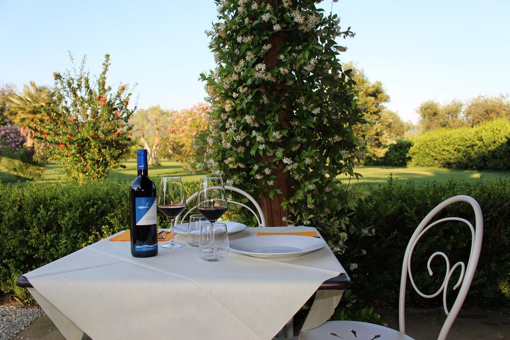 Agriturismo Eucaliptus Bolgheri Kültér fotó