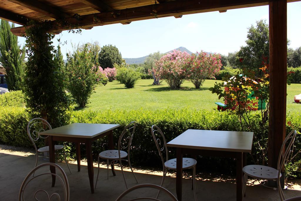 Agriturismo Eucaliptus Bolgheri Kültér fotó