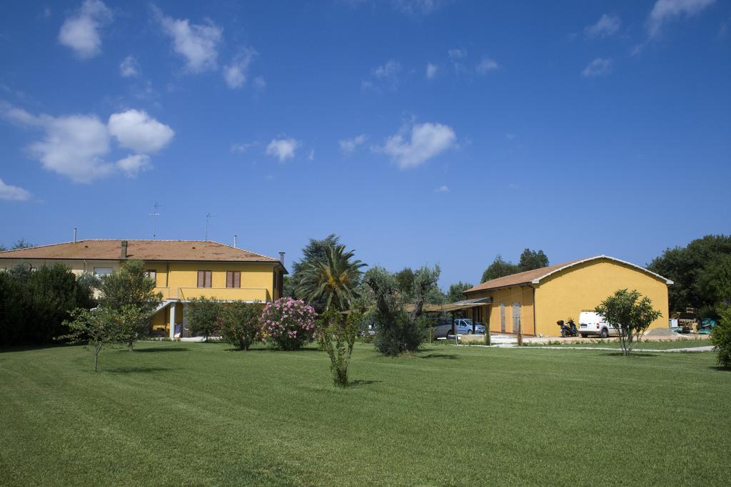 Agriturismo Eucaliptus Bolgheri Kültér fotó