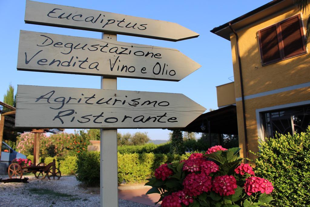 Agriturismo Eucaliptus Bolgheri Kültér fotó