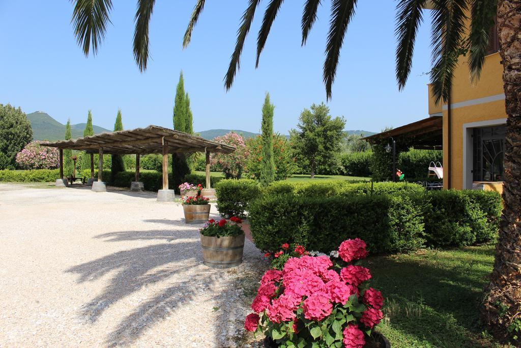 Agriturismo Eucaliptus Bolgheri Kültér fotó